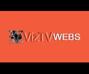 VizTV Webs - Ad Mockup - 300x250